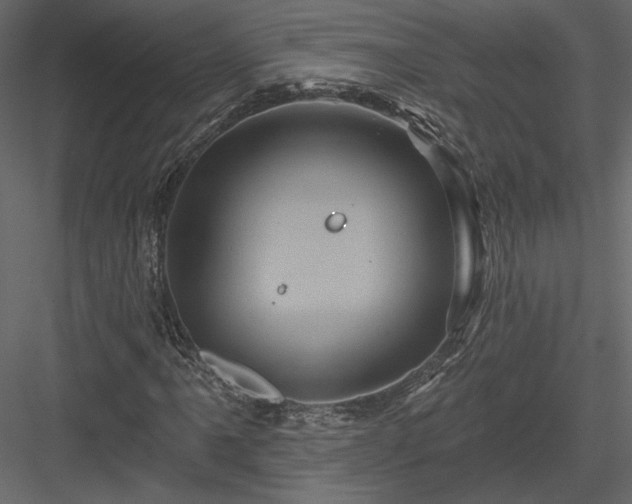 X0000084051061200702232345