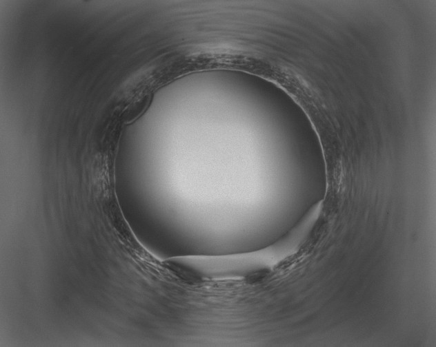 X0000084051062200702232345