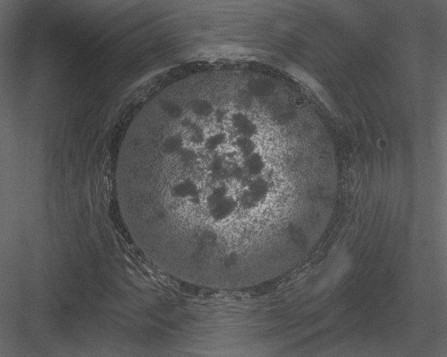 X0000084051063200702232345