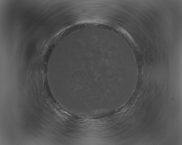 X0000084051064200702232345