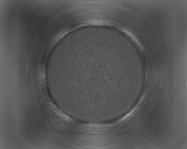 X0000084051065200702232345