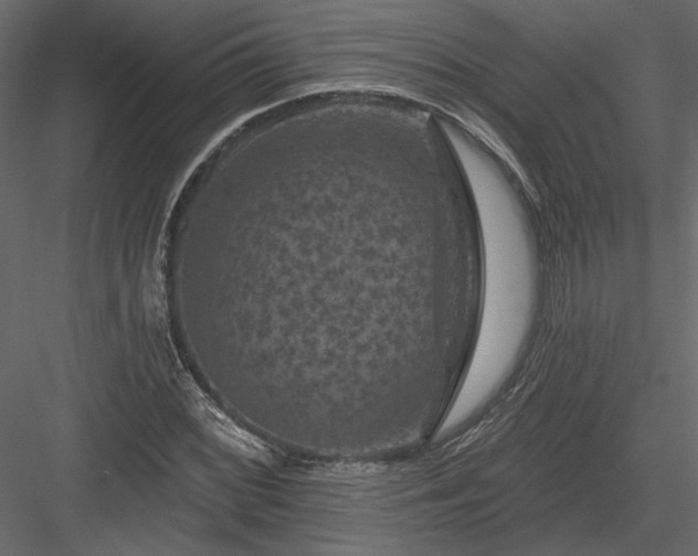 X0000084051068200702232345