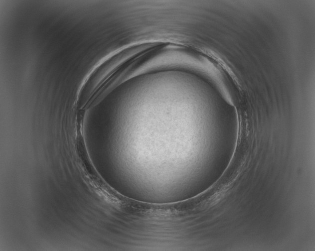 X0000084051069200702232345