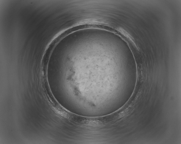 X0000084051070200702232345