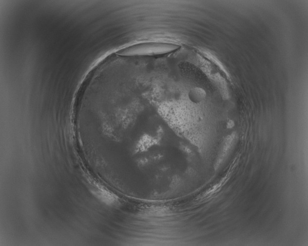 X0000084051071200702232345