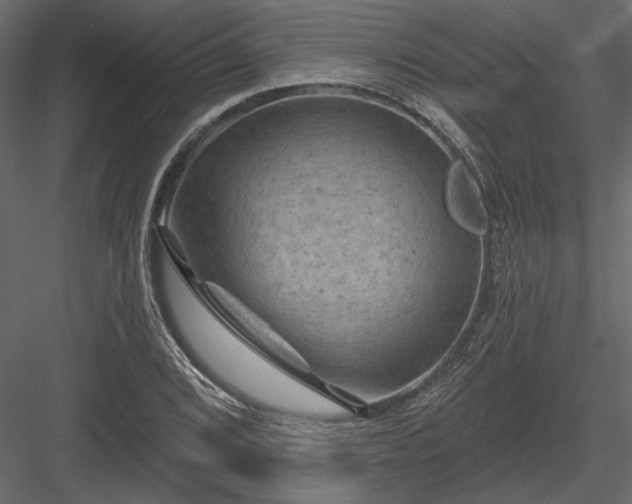 X0000084051072200702232345