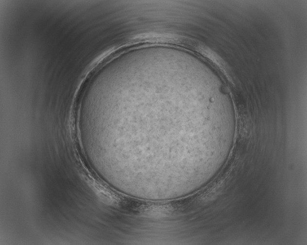 X0000084051074200702232345