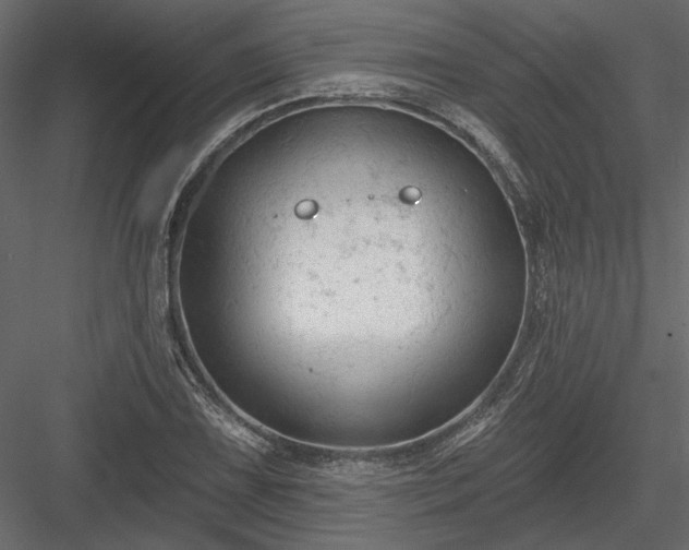 X0000084051075200702232345