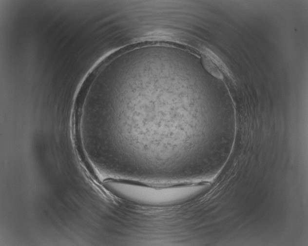 X0000084051076200702232345