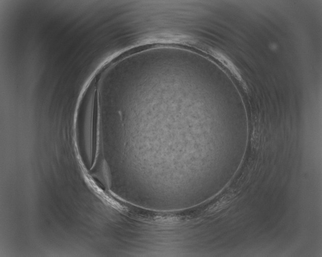 X0000084051080200702232345