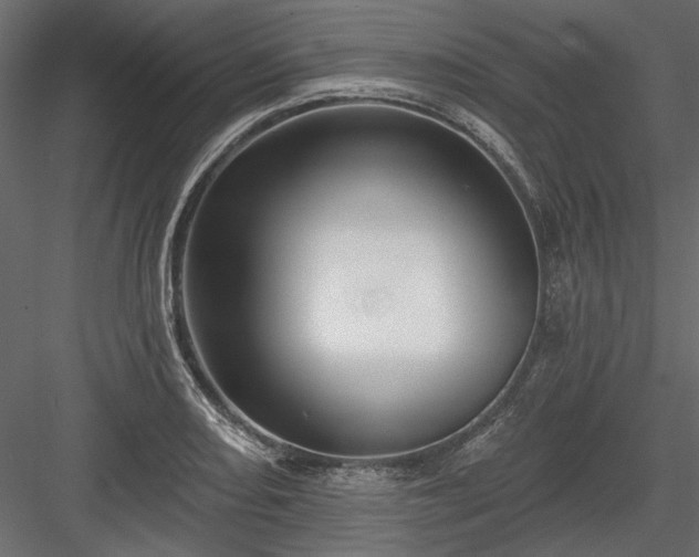 X0000084051082200702232345