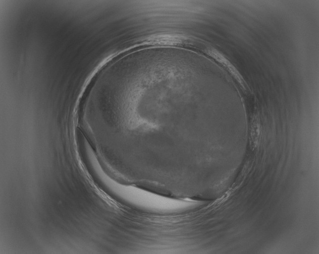 X0000084051083200702232345