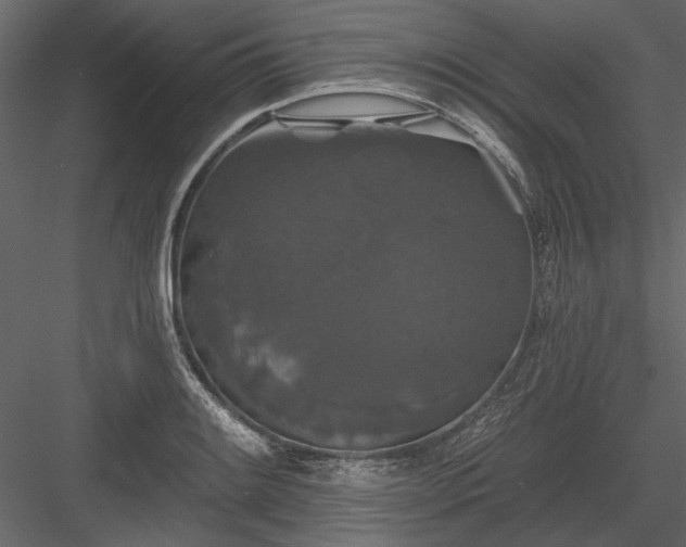 X0000084051084200702232345