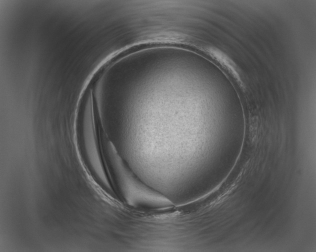 X0000084051085200702232345