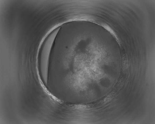 X0000084051088200702232345