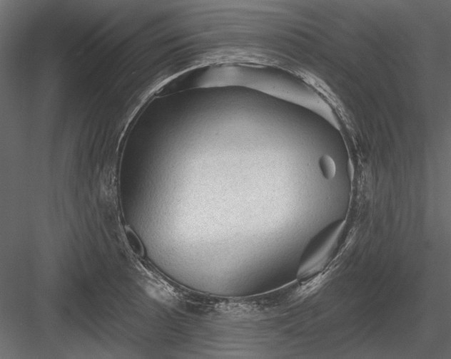 X0000084051089200702232345