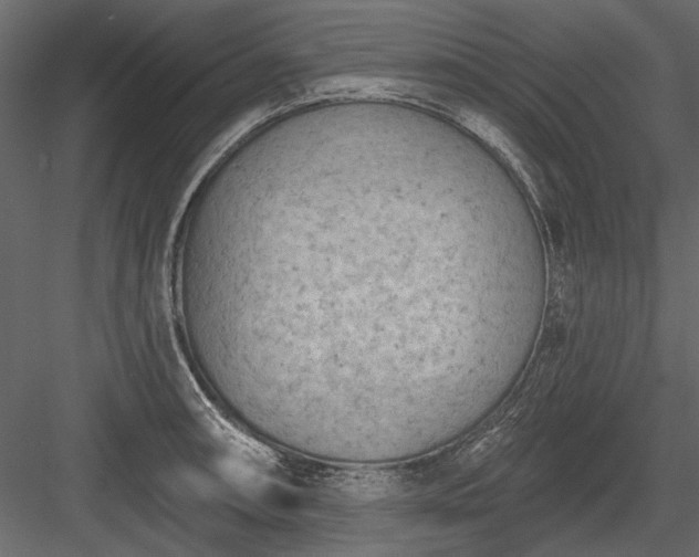 X0000084051090200702232345