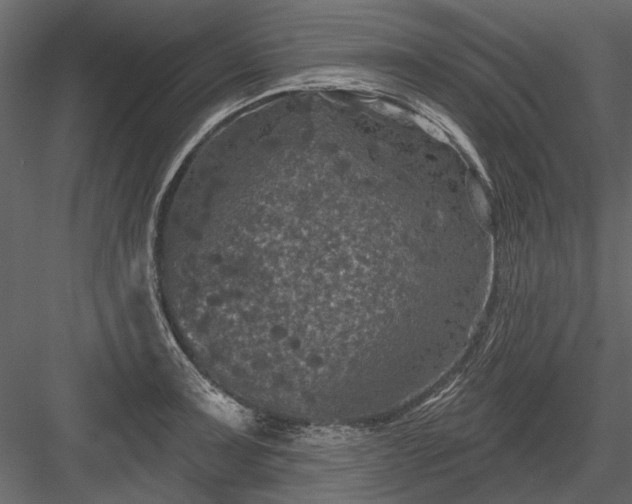 X0000084051091200702232345