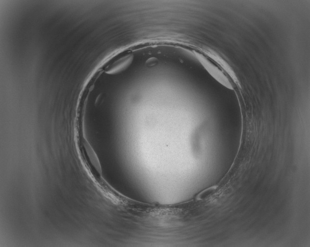 X0000084051093200702232345