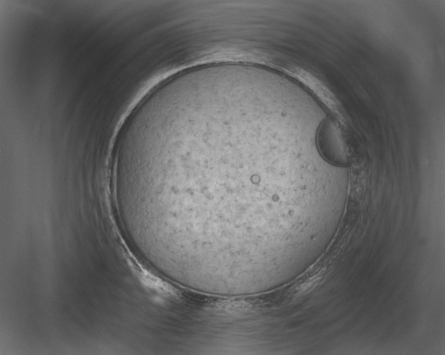 X0000084051094200702232345