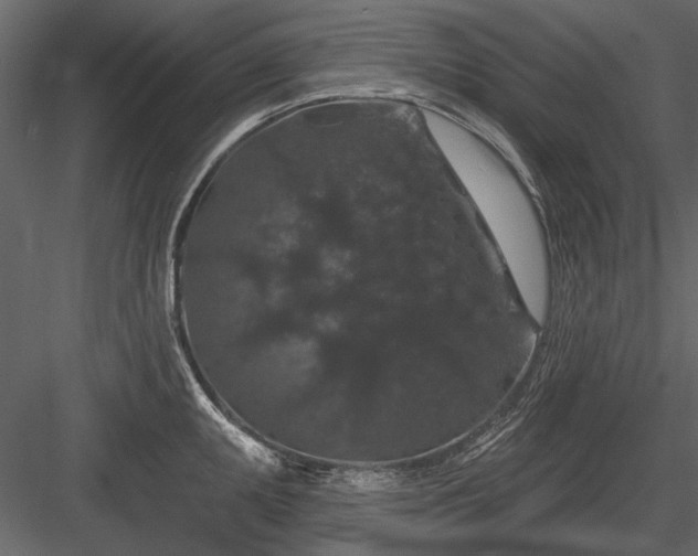 X0000084051095200702232345