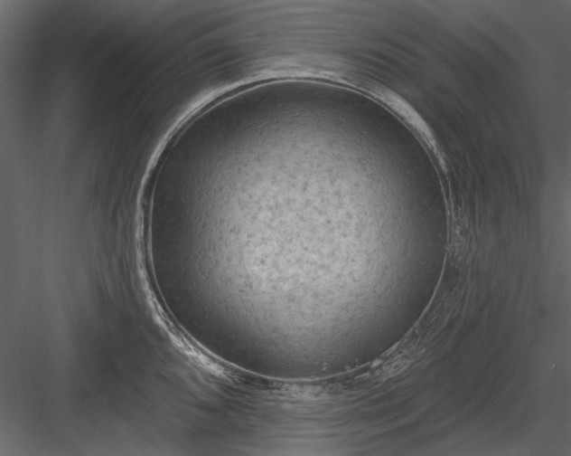 X0000084051096200702232345