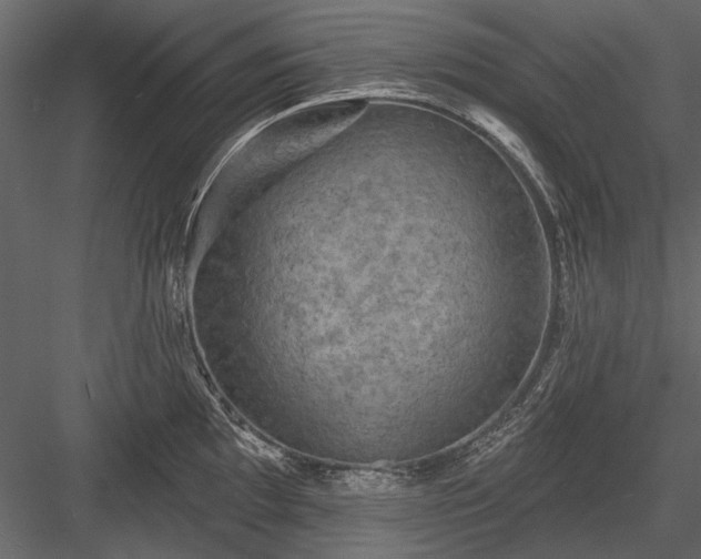 X0000084051097200702232345