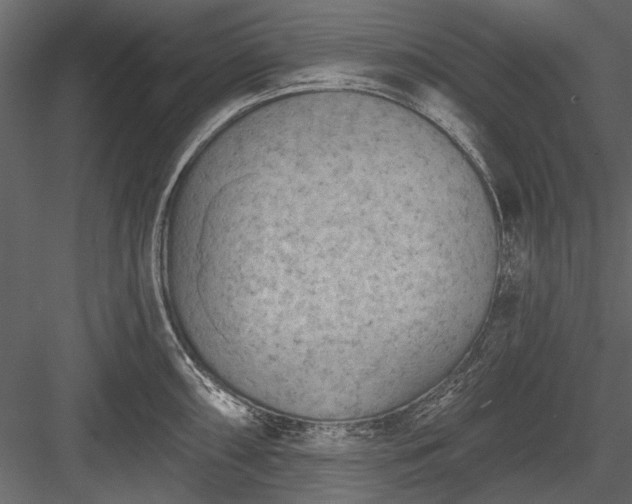 X0000084051098200702232345