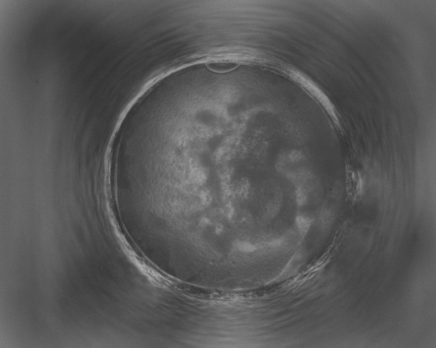 X0000084051099200702232345