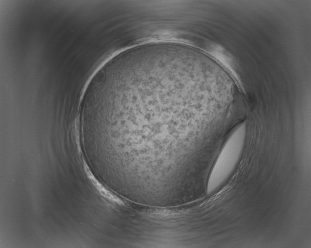 X0000084051100200702232345