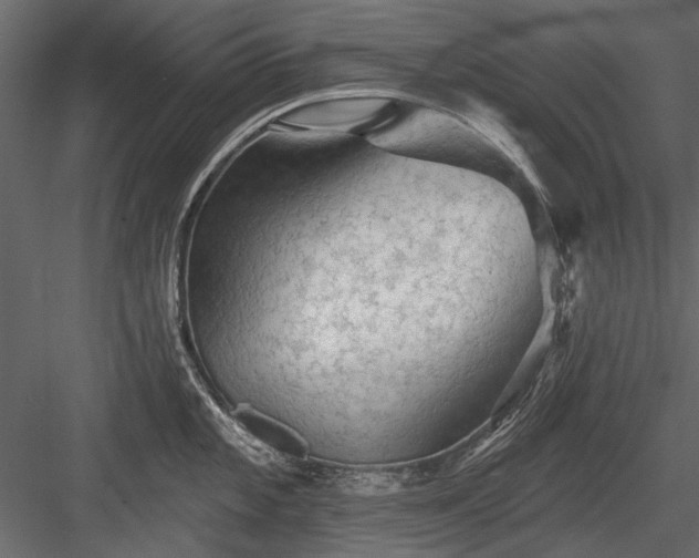 X0000084051101200702232345