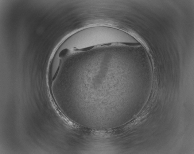 X0000084051104200702232345