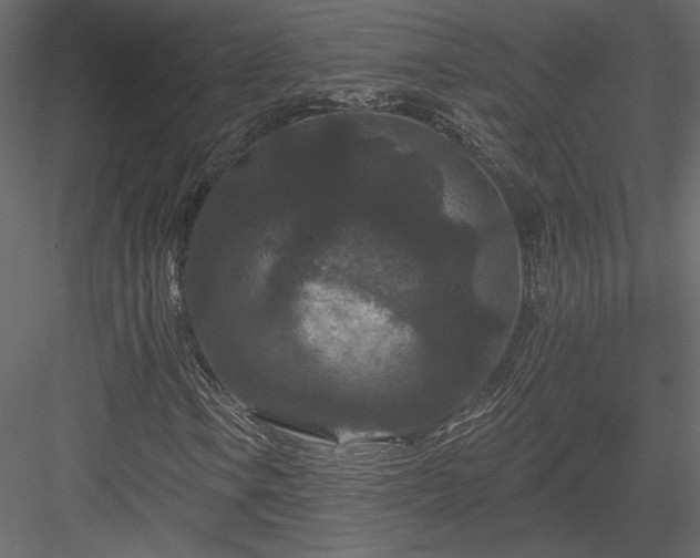 X0000084051106200702232344