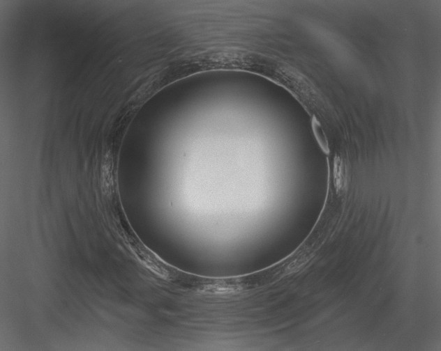 X0000084051107200702232344