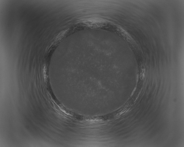 X0000084051108200702232344