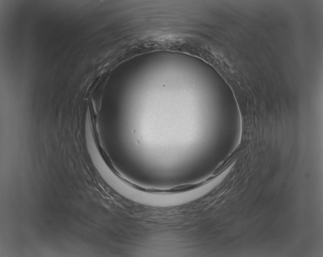 X0000084051109200702232344