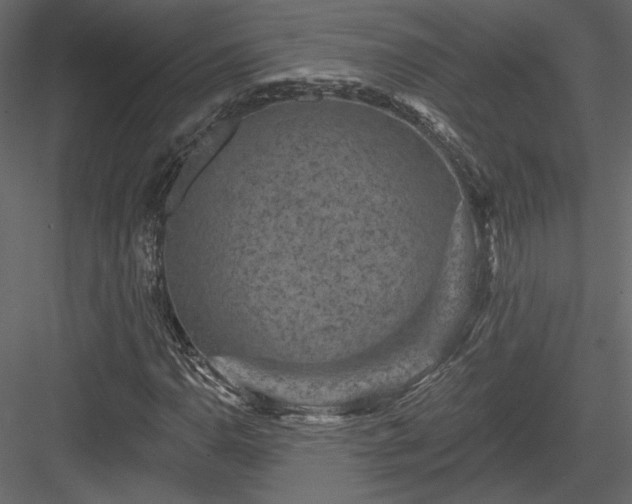 X0000084051110200702232344