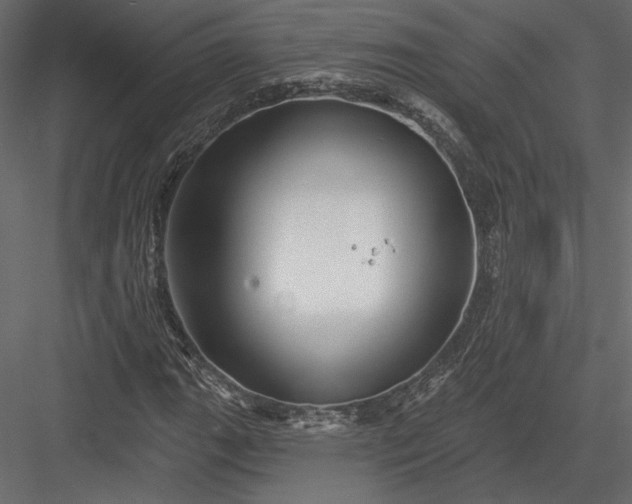 X0000084051111200702232344