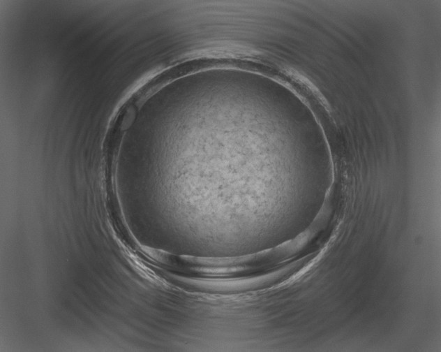 X0000084051114200702232344