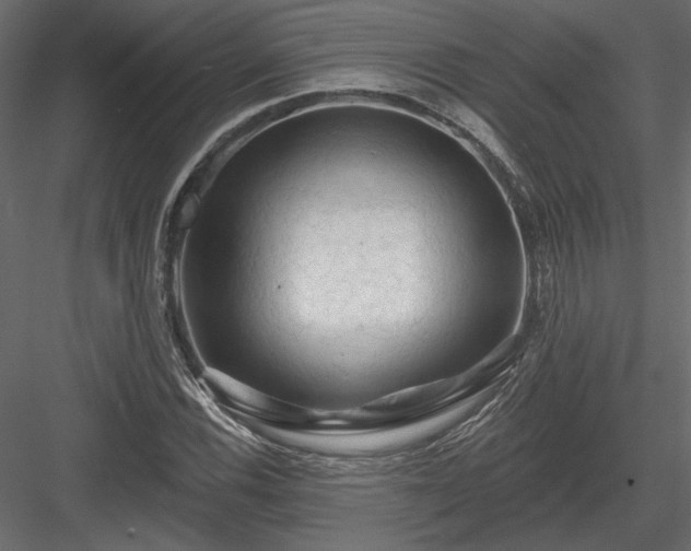 X0000084051116200702232344