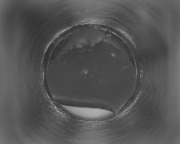 X0000084051117200702232344