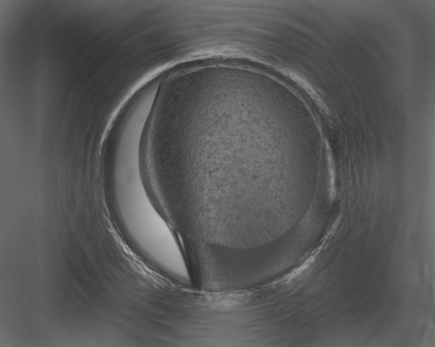 X0000084051118200702232344