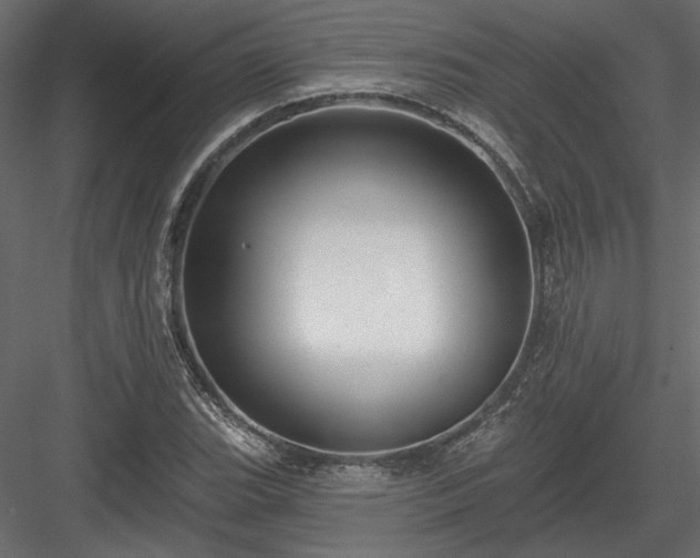 X0000084051119200702232344