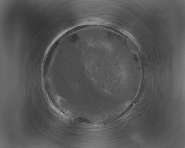 X0000084051120200702232344