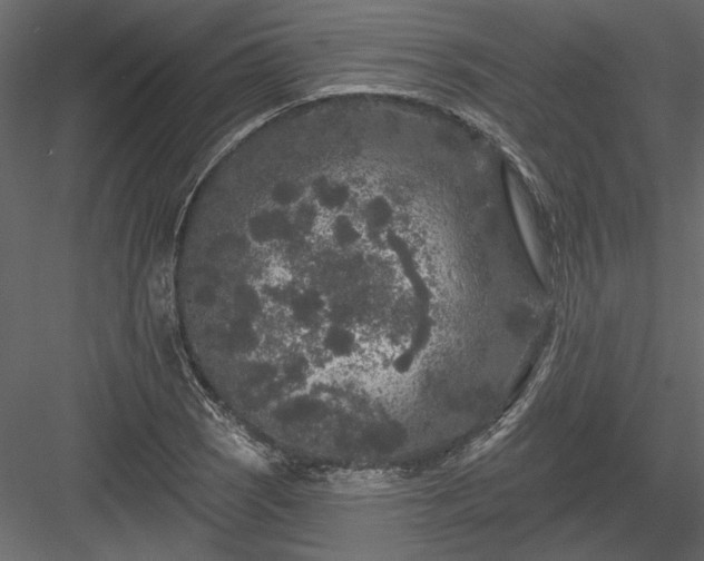 X0000084051121200702232344