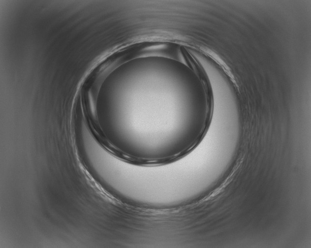 X0000084051122200702232344