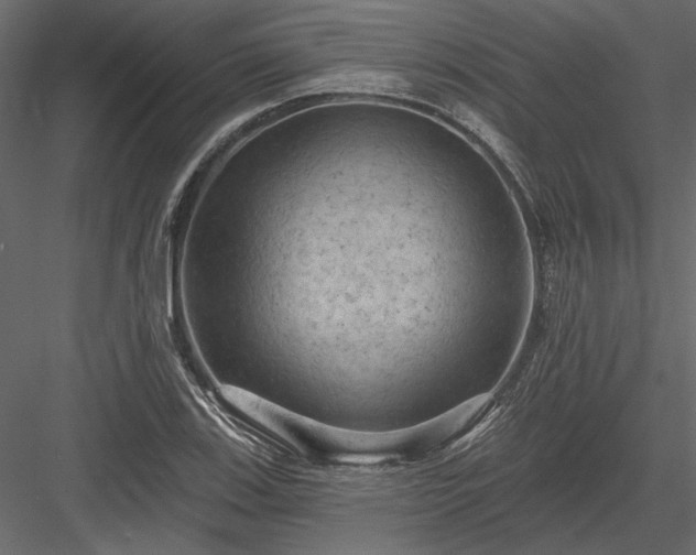 X0000084051123200702232344