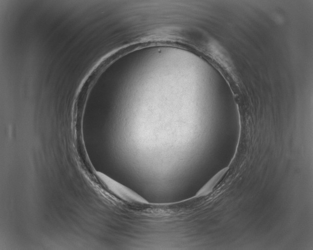 X0000084051124200702232344