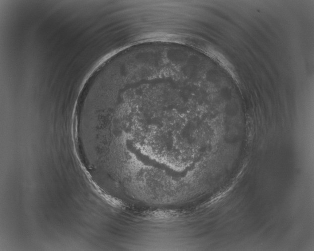 X0000084051125200702232344