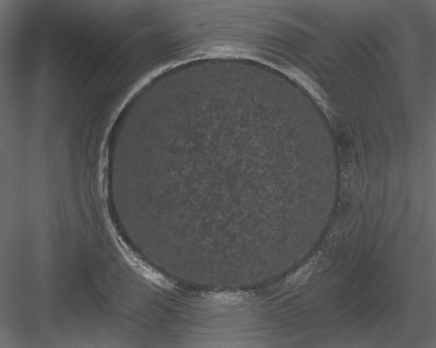 X0000084051126200702232344